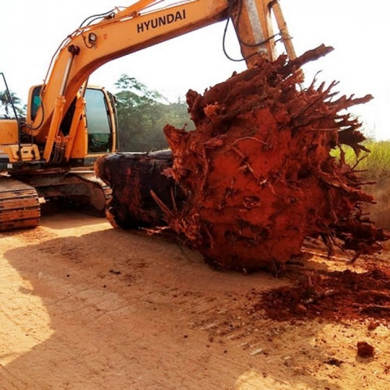 Limpeza do Terreno Água Branca - Limpeza de Terreno para Construção